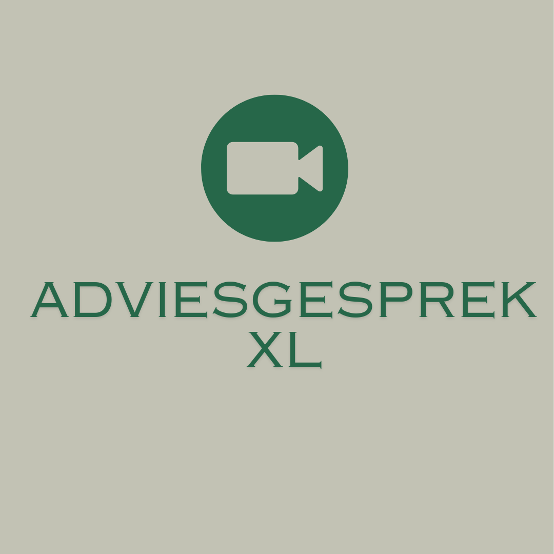 Adviesgesprek XL