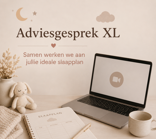 Adviesgesprek XL